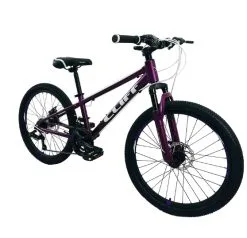 Bicicleta Cliff Lizard 24 Mecanica Morada
