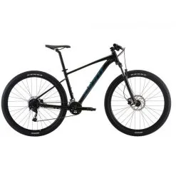 Bicicleta MTB Giant Talon 2 Rin 29 Negro