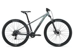 Bicicleta Liv Tempt 29 3 21 Gris M