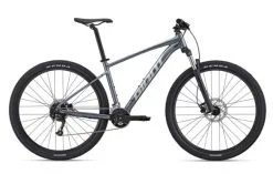 Bicicleta Giant Talon 29 2